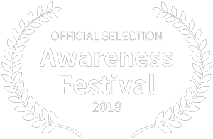 Awareness Festival 2018