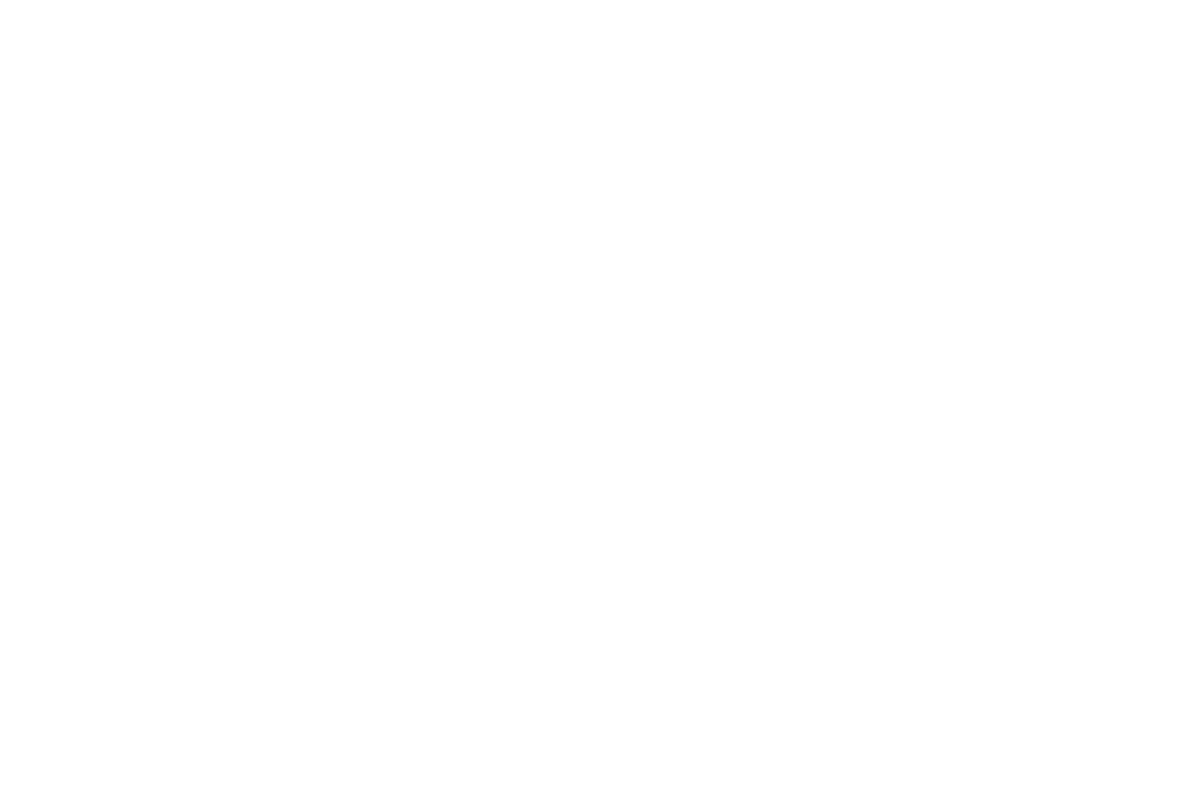 Mosaic Film Festival of Arts and Culture 