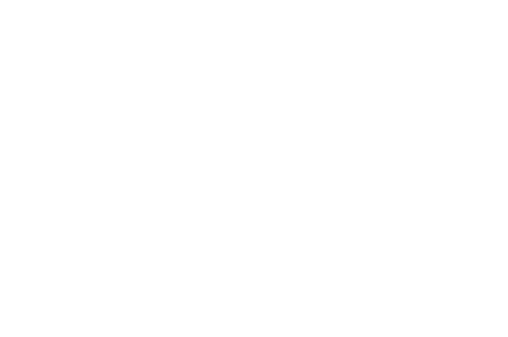 Malibu Film Festival 