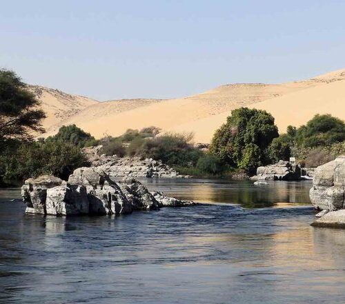 Scientists Use Recycled Sewage Water to Grow 500-Acre Forest in the Middle of Egyptian Desert