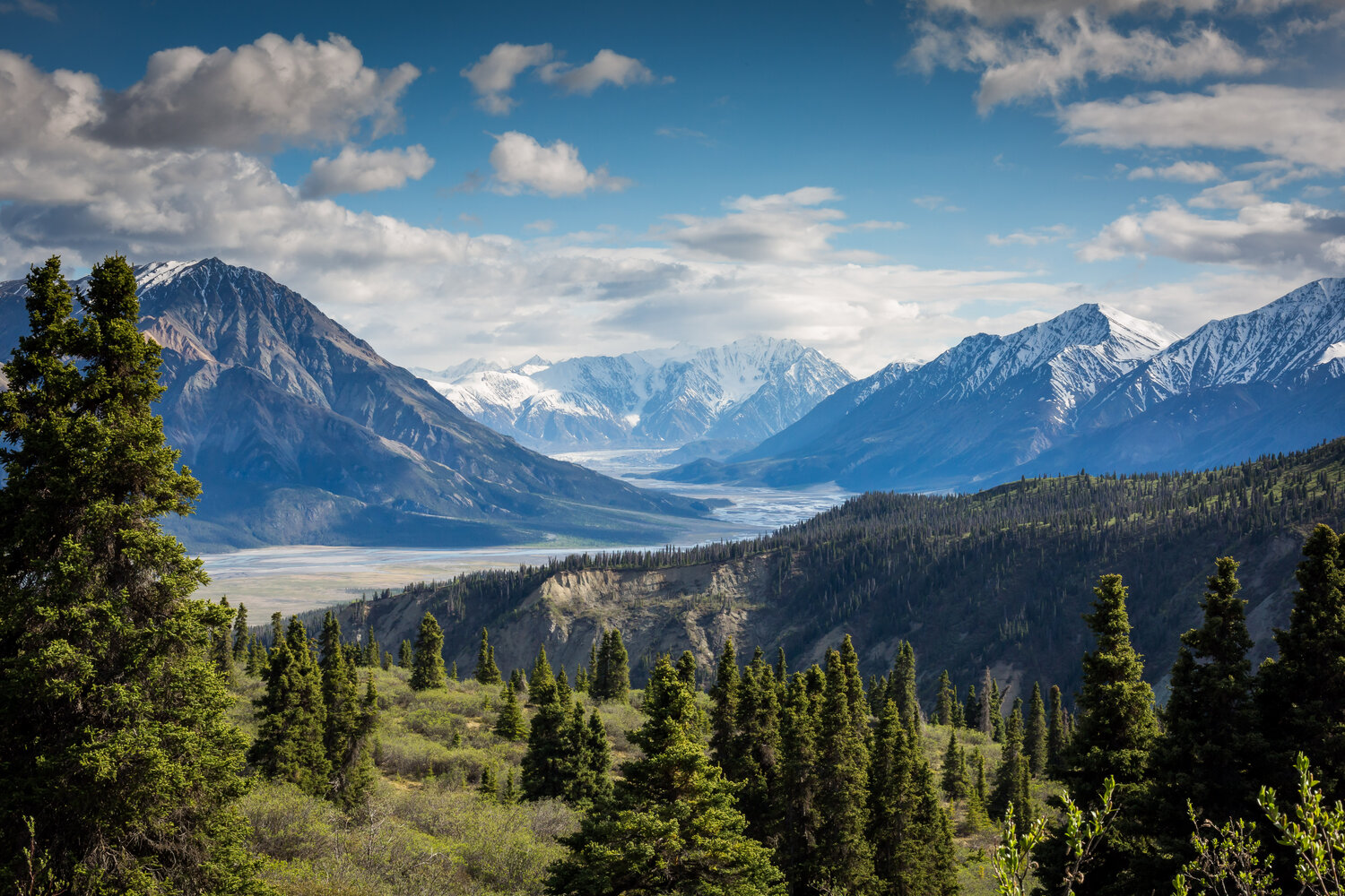 First Drone Project of Its Kind in Canada is Aiming to Plant 1 Billion Trees by 2028