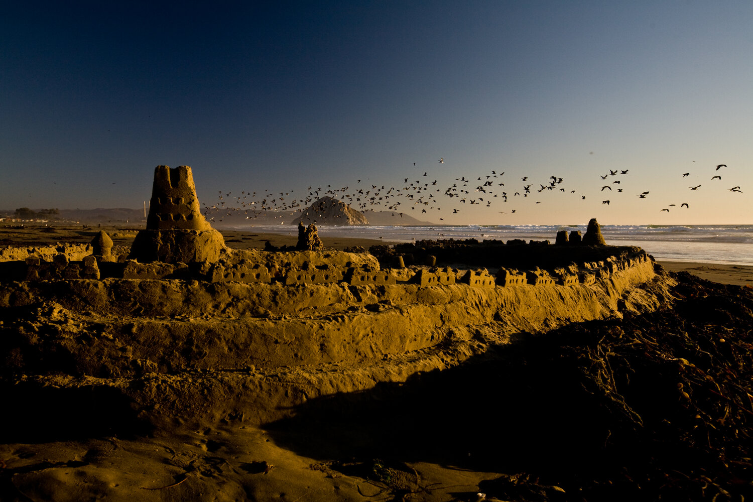 Birds’ seasonal migrations shift earlier as climate changes