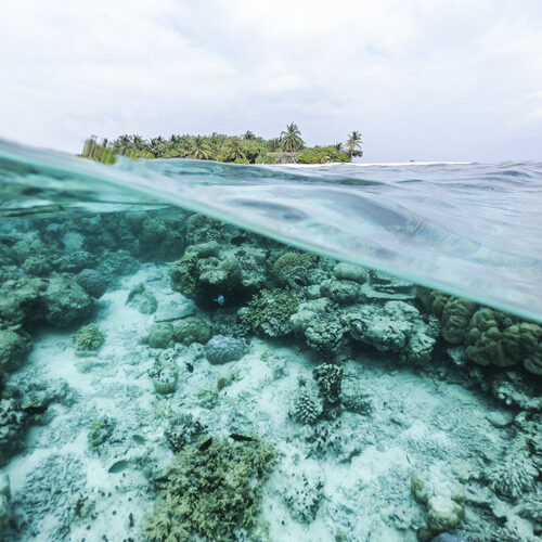 Island Nation Becomes First Country in the World to Ban Sunscreens With Reef-Harming Chemicals