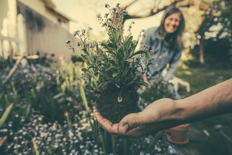 How can gardening help you to navigate depression?