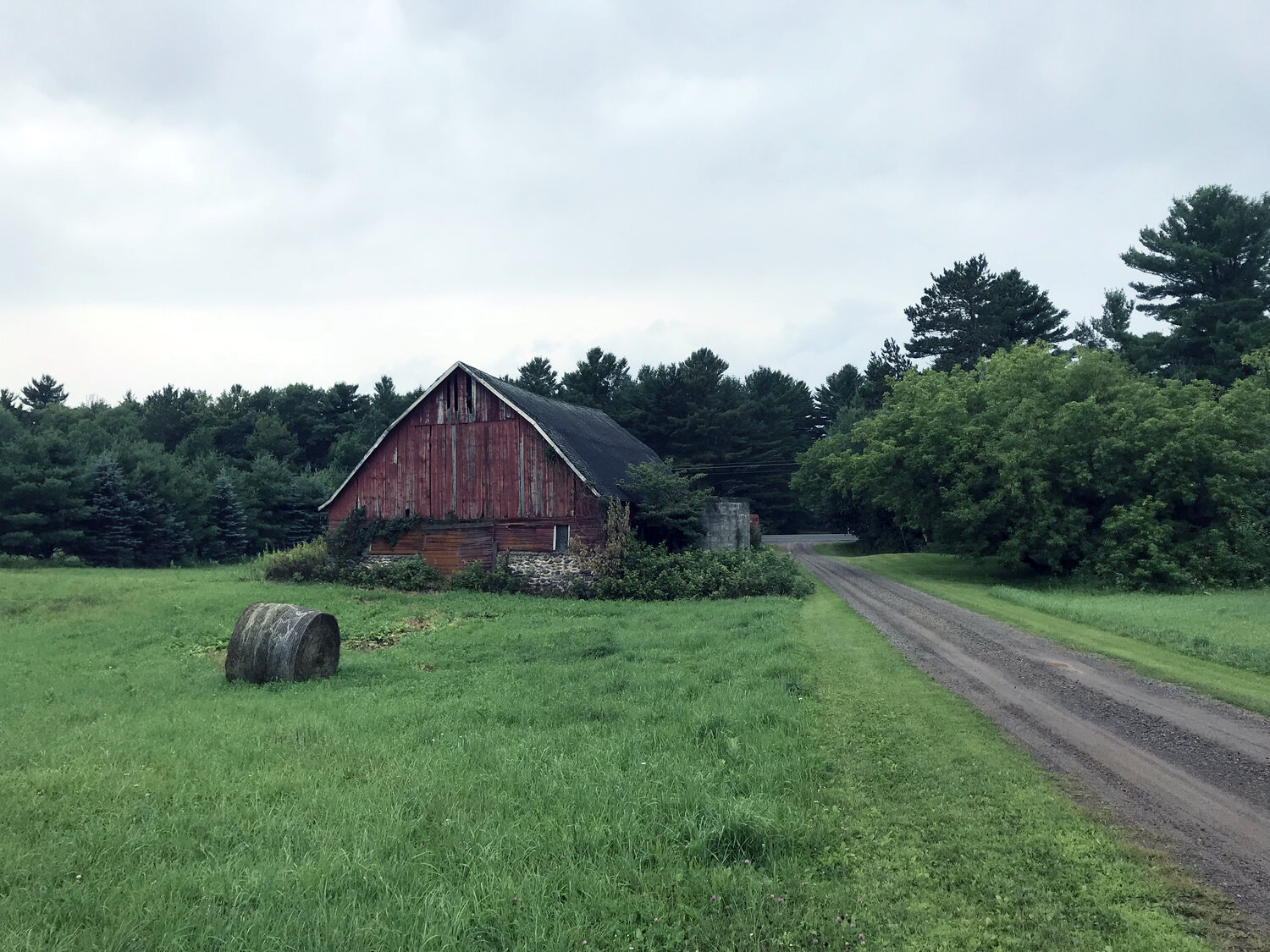 Farming in the Forest: A Chance to Reverse 1,000 Years of Destructive Land-Use Practices