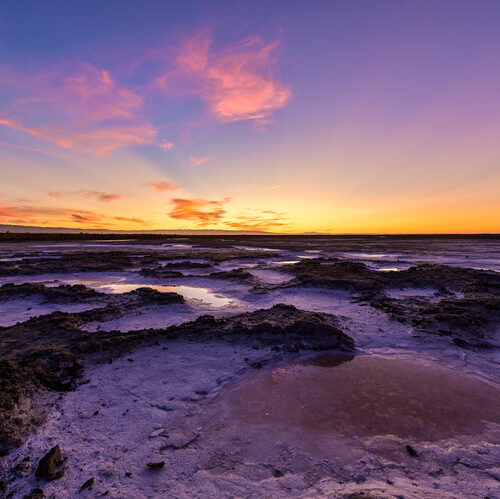 Putting a price on the protective power of wetlands