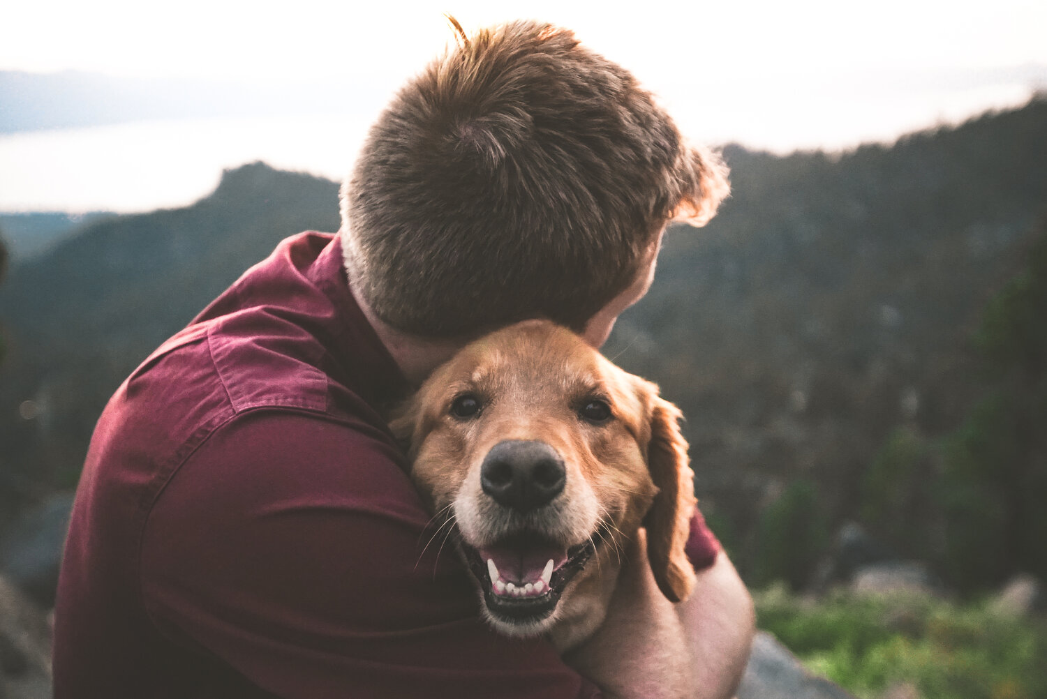 Early-life exposure to dogs may lessen risk of developing schizophrenia