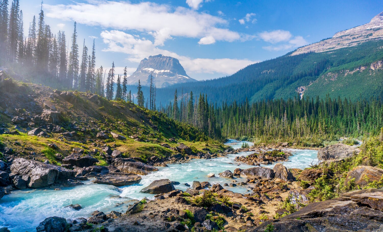 National parks a boost to mental health worth trillions: Study