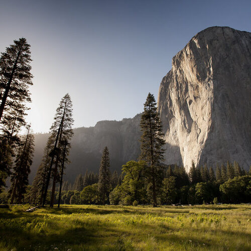 National parks a boost to mental health worth trillions: Study