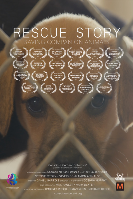 Rescue Story